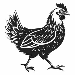 Chicken silhouette black vector