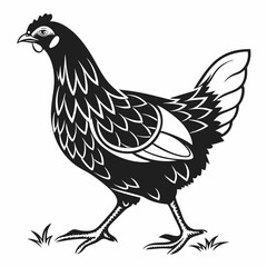 Chicken silhouette black vector