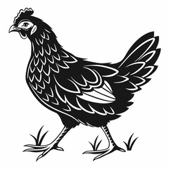 Chicken silhouette black vector