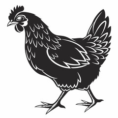 Chicken silhouette black vector
