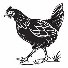 Chicken silhouette black vector
