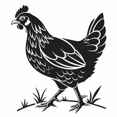 Chicken silhouette black vector