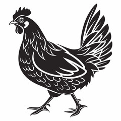 Chicken silhouette black vector