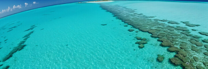 Aerial view of a stunning coral reef surrounded by vibrant turquoise waters. The reef's complex structures are visible, creating intricate patterns beneath the clear, shallow sea.