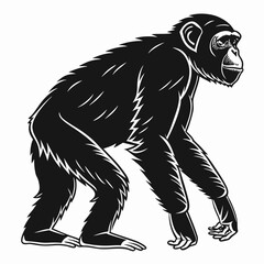Fototapeta premium chimpanzee sihouette black vector