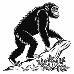 chimpanzee sihouette black vector