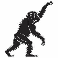 Fototapeta premium chimpanzee sihouette black vector