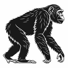 chimpanzee sihouette black vector