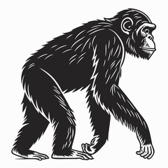 chimpanzee sihouette black vector