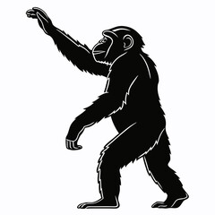 Fototapeta premium chimpanzee sihouette black vector