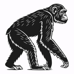 chimpanzee sihouette black vector
