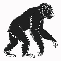 chimpanzee sihouette black vector