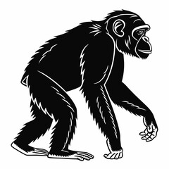 chimpanzee sihouette black vector