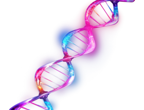 PNG  Neon dna wireframe light architecture illuminated.