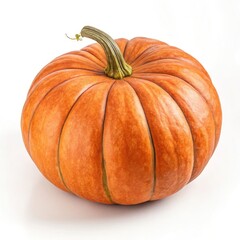 Obraz premium pumpkin isolated on white background
