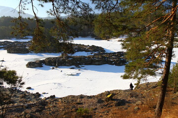 Winter landscape with snow-covered forest and river in the Altai mountains. Manzherok is a rural locality  in  Altai Republic.