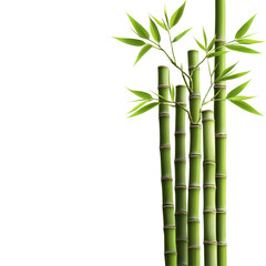 Lush green bamboo stalks, nature's elegance, vertical composition,  backdrop for organic themes