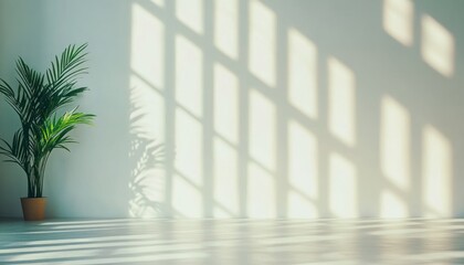 Fototapeta premium Plant in sunlight on white background