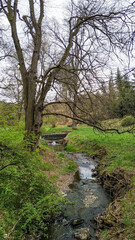 Small stream flowing through pruhonice park in spring