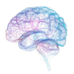 Neural Connections: A Vibrant Visualization of the Brain