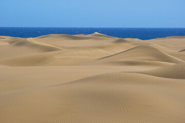 Sand dune with a sea at the background in Maspalomas, Gran Canaria
