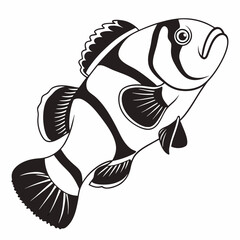 clownfish silhouette black vector