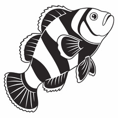 clownfish silhouette black vector
