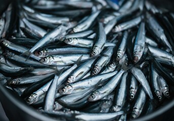 Fototapeta premium Fresh silver fish piled together, showcasing their shiny scales and vibrant appearance