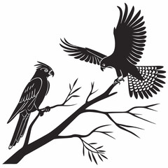 cockatiel black silhouette icon vector