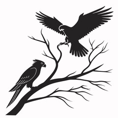 cockatiel black silhouette icon vector