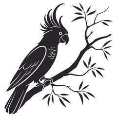 cockatoo silhouette black vector