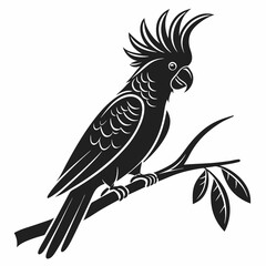 cockatoo silhouette black vector