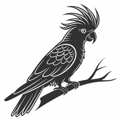 cockatoo silhouette black vector
