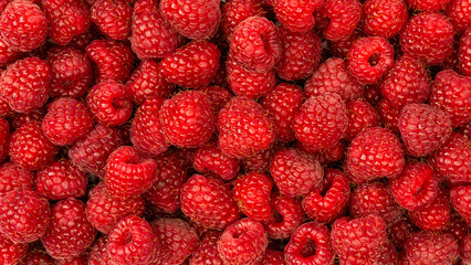 Tasty fresh raspberry as a background.