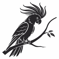 cockatoo silhouette black vector