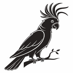 cockatoo silhouette black vector
