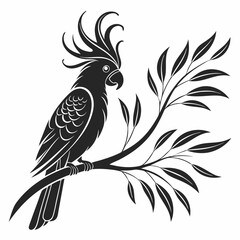 cockatoo silhouette black vector