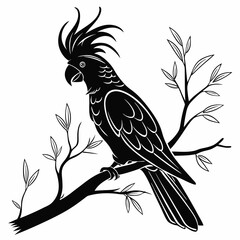 cockatoo silhouette black vector