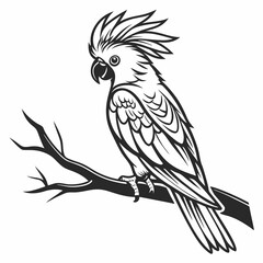 cockatoo silhouette black vector