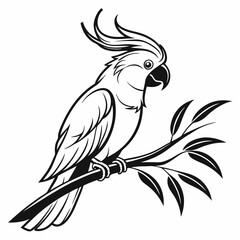 cockatoo silhouette black vector