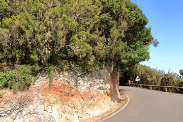 Road in the mountains of Tenerife, Canary Islands, Spain