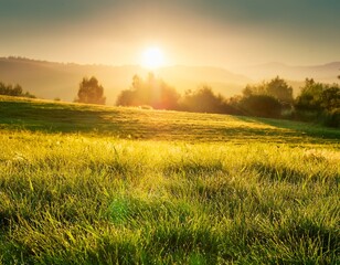 Obraz premium idyllic grass field illuminated by warm sunlight