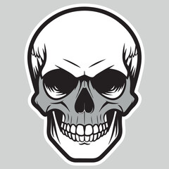 Illustration of a human skull. Hand-drawn monochrome skulls on a black and white background. Vector.