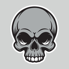 Illustration of a human skull. Hand-drawn monochrome skulls on a black and white background. Vector.