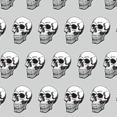 Illustration of a human skull. Hand-drawn monochrome skulls on a black and white background. Vector.