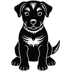 Black and white puppy sitting in a studio, looking cute and calm, with a blend of Staffordshire and Labrador features, on a white background