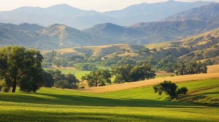 Fototapeta premium US Nature Landscape View in California's Tulare County