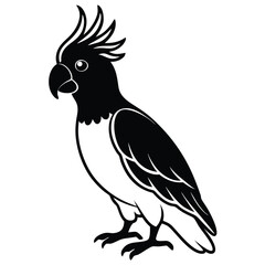 Black and white bird on a branch vector illustration with feathers, wings, and beak