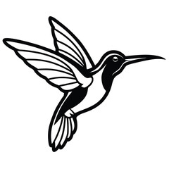 Hummingbird in flight with flower vector illustration