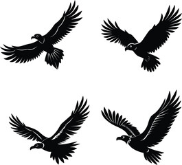 Fototapeta premium Set of ebon condor bird vector..